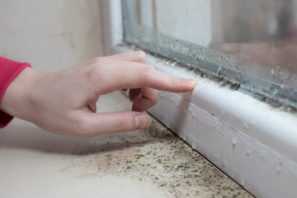 Best Air Quality Testing for Mold Spores  in Beachwood, OH